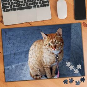 74530 Sarı Tüylü Sevimli Kedi 240 Parça Puzzle Yapboz