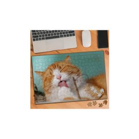 74531 Sevimli Evcil Kedi 240 Parça Puzzle Yapboz