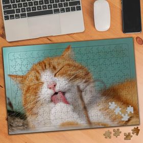 74531 Sevimli Evcil Kedi 240 Parça Puzzle Yapboz