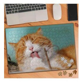 74531 Sevimli Evcil Kedi 240 Parça Puzzle Yapboz