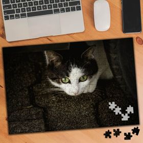 74535 Yeşil Gözlü Sevimli Kedi 240 Parça Puzzle Yapboz