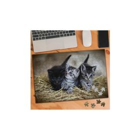 74549 Sevimli Yavru Kediler 240 Parça Puzzle Yapboz