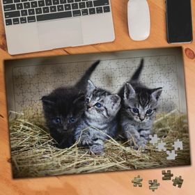 74549 Sevimli Yavru Kediler 240 Parça Puzzle Yapboz