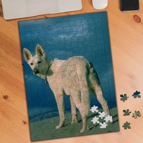 74559 Beyaz Tüylü Dağ Köpeği 240 Parça Puzzle Yapboz