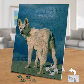 74559 Beyaz Tüylü Dağ Köpeği 240 Parça Puzzle Yapboz