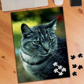 74560 Gri Tüylü Güzel Kedi 240 Parça Puzzle Yapboz