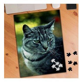 74560 Gri Tüylü Güzel Kedi 240 Parça Puzzle Yapboz