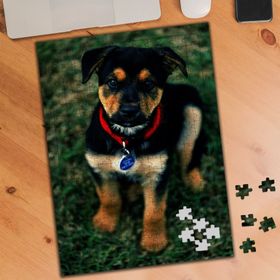 74564 Küçük Yavru Köpek 240 Parça Puzzle Yapboz