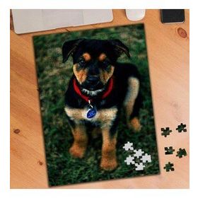 74564 Küçük Yavru Köpek 240 Parça Puzzle Yapboz