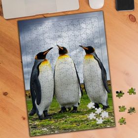 74568 Penguen Kardeşler 240 Parça Puzzle Yapboz