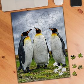 74568 Penguen Kardeşler 240 Parça Puzzle Yapboz
