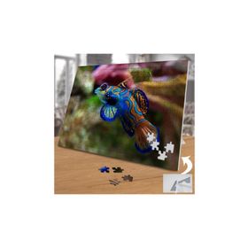 74570 Renkli Okyanus Balığı 240 Parça Puzzle Yapboz