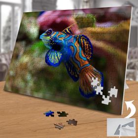 74570 Renkli Okyanus Balığı 240 Parça Puzzle Yapboz