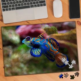 74570 Renkli Okyanus Balığı 240 Parça Puzzle Yapboz