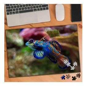 74570 Renkli Okyanus Balığı 240 Parça Puzzle Yapboz