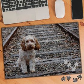 74571 Tren Raylarındaki Köpek 240 Parça Puzzle Yapboz
