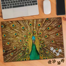 74572 Renkli Tavus Kuşu 240 Parça Puzzle Yapboz