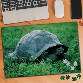 74573 Sevimli Yaşlı Kaplumbağa 240 Parça Puzzle Yapboz