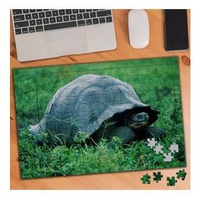 74573 Sevimli Yaşlı Kaplumbağa 240 Parça Puzzle Yapboz