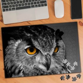 74575 Yırtıcı Kuş Baykuş 240 Parça Puzzle Yapboz