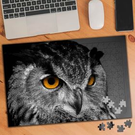 74575 Yırtıcı Kuş Baykuş 240 Parça Puzzle Yapboz