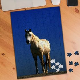 74632 Beyaz Tüylü Asil At Kısrak 240 Parça Puzzle Yapboz