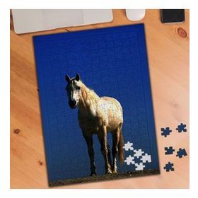 74632 Beyaz Tüylü Asil At Kısrak 240 Parça Puzzle Yapboz