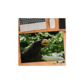 74725 Yırtıcı Kuş Şahin 240 Parça Puzzle Yapboz