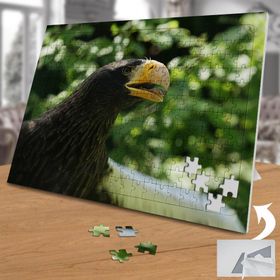 74725 Yırtıcı Kuş Şahin 240 Parça Puzzle Yapboz
