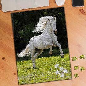 74765 Çimenler Üstünde Beyaz Tüylü At 240 Parça Puzzle Yapboz