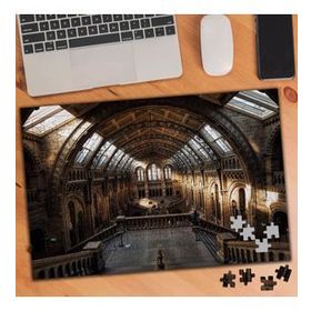 74780 Londra Doğal Tarih Müzesi Sanatsal 240 Parça Puzzle Yapboz