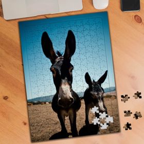 74796 Sevimli Eşşek ve Sıpası 240 Parça Puzzle Yapboz