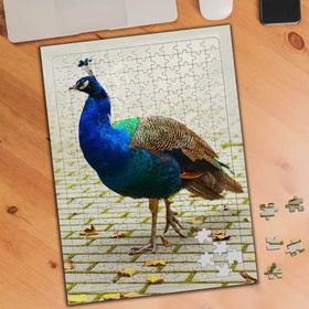 74797 Sevimli Tavus Kuşu Hayvanı 240 Parça Puzzle Yapboz