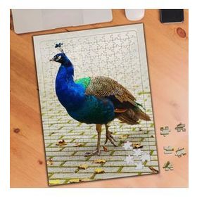 74797 Sevimli Tavus Kuşu Hayvanı 240 Parça Puzzle Yapboz
