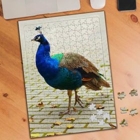 74797 Sevimli Tavus Kuşu Hayvanı 240 Parça Puzzle Yapboz