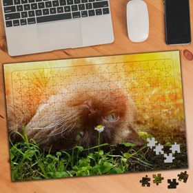 74843 Ters Yatan Sevimli Kedi 240 Parça Puzzle Yapboz
