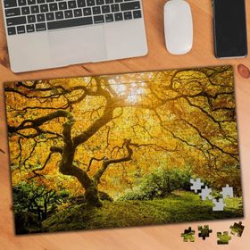 74857 Sararmış Ağaç Yaprakları 240 Parça Puzzle Yapboz