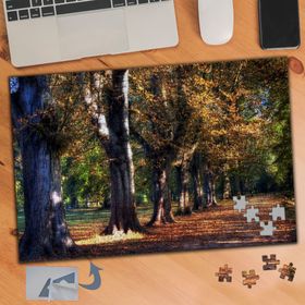749 Sıralı Ağaçlar Sonbahar Yolu 240 Parça Puzzle Yapboz Tablo