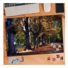 749 Sıralı Ağaçlar Sonbahar Yolu 240 Parça Puzzle Yapboz Tablo