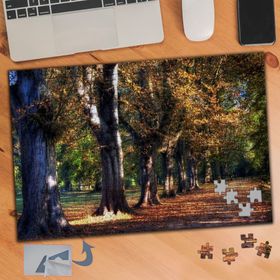 749 Sıralı Ağaçlar Sonbahar Yolu 240 Parça Puzzle Yapboz Tablo