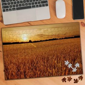 74971 Sarı Buğday Tarlası 240 Parça Puzzle Yapboz