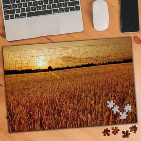 74971 Sarı Buğday Tarlası 240 Parça Puzzle Yapboz