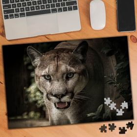 74974 Yırtıcı Vahşi Hayvan Kaplan 240 Parça Puzzle Yapboz