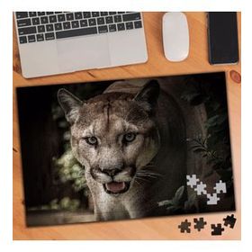 74974 Yırtıcı Vahşi Hayvan Kaplan 240 Parça Puzzle Yapboz