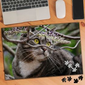 750871 Ağaçtaki Güzel Gözlü Kedi 240 Parça Puzzle Yapboz