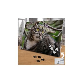 750871 Ağaçtaki Güzel Gözlü Kedi 240 Parça Puzzle Yapboz
