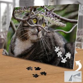 750871 Ağaçtaki Güzel Gözlü Kedi 240 Parça Puzzle Yapboz