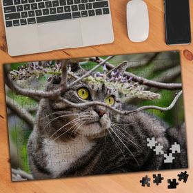 750871 Ağaçtaki Güzel Gözlü Kedi 240 Parça Puzzle Yapboz