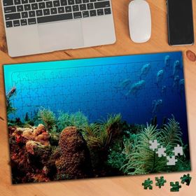 75105 Denizin Derinliklerindeki Canlılar 240 Parça Puzzle Yapboz