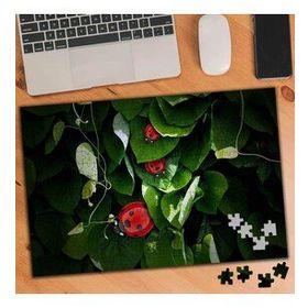 75123 Sarmaşıklar Arasında Uğur Böceği 240 Parça Puzzle Yapboz